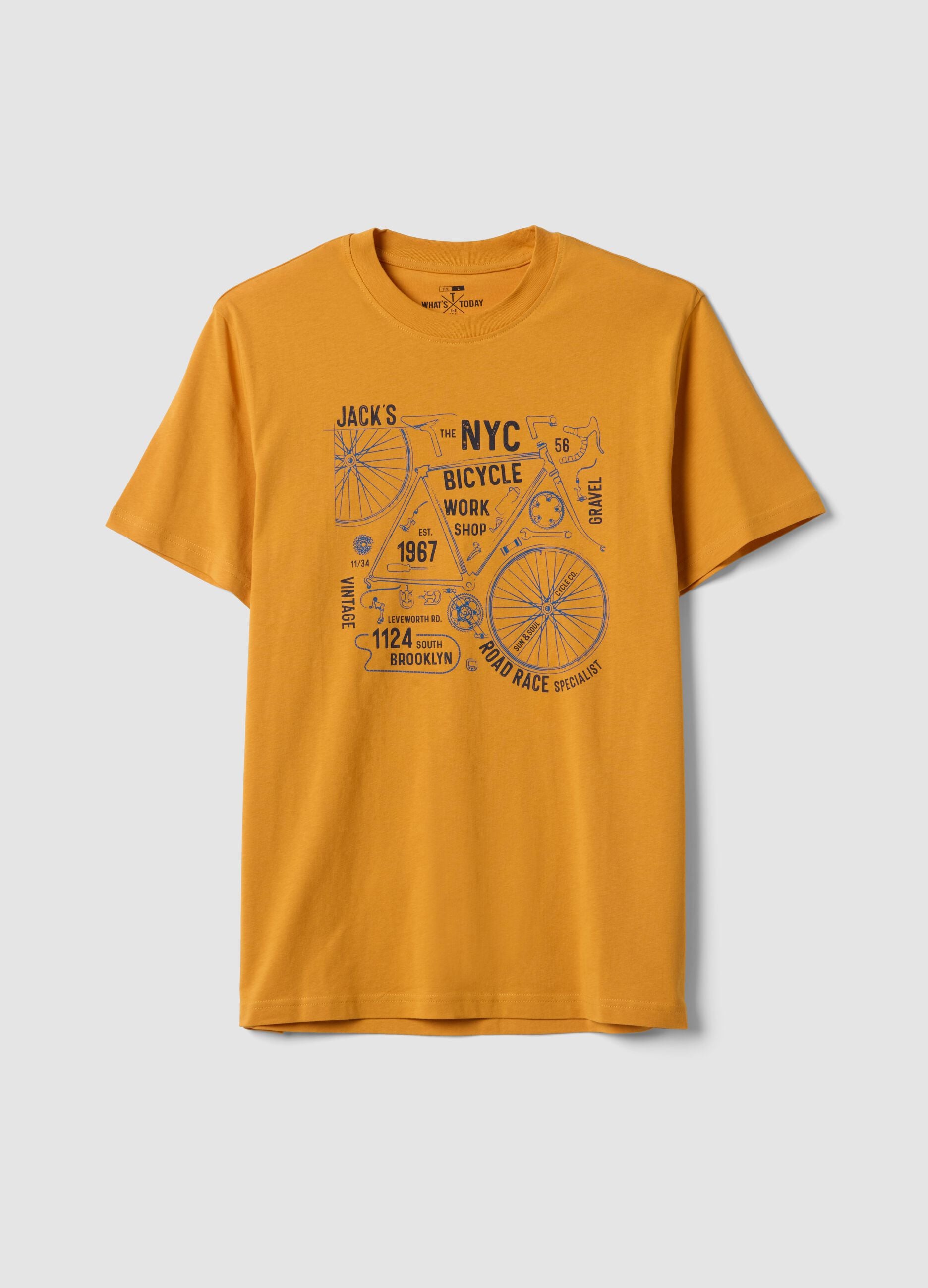 Oranges T-Shirt aus reiner Baumwolle mit Frontprint, Regular Fit
