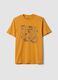 Oranges T-Shirt aus reiner Baumwolle mit Frontprint, Regular Fit_4