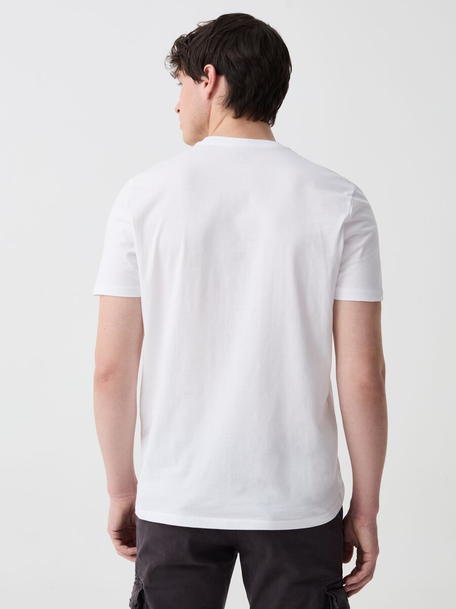 Cotton T-shirt with Sardinia print_2