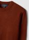 Brown crew-neck jersey knit jumper, regular fit_1
