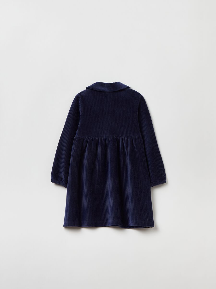 Ribbed chenille dress with collar_1