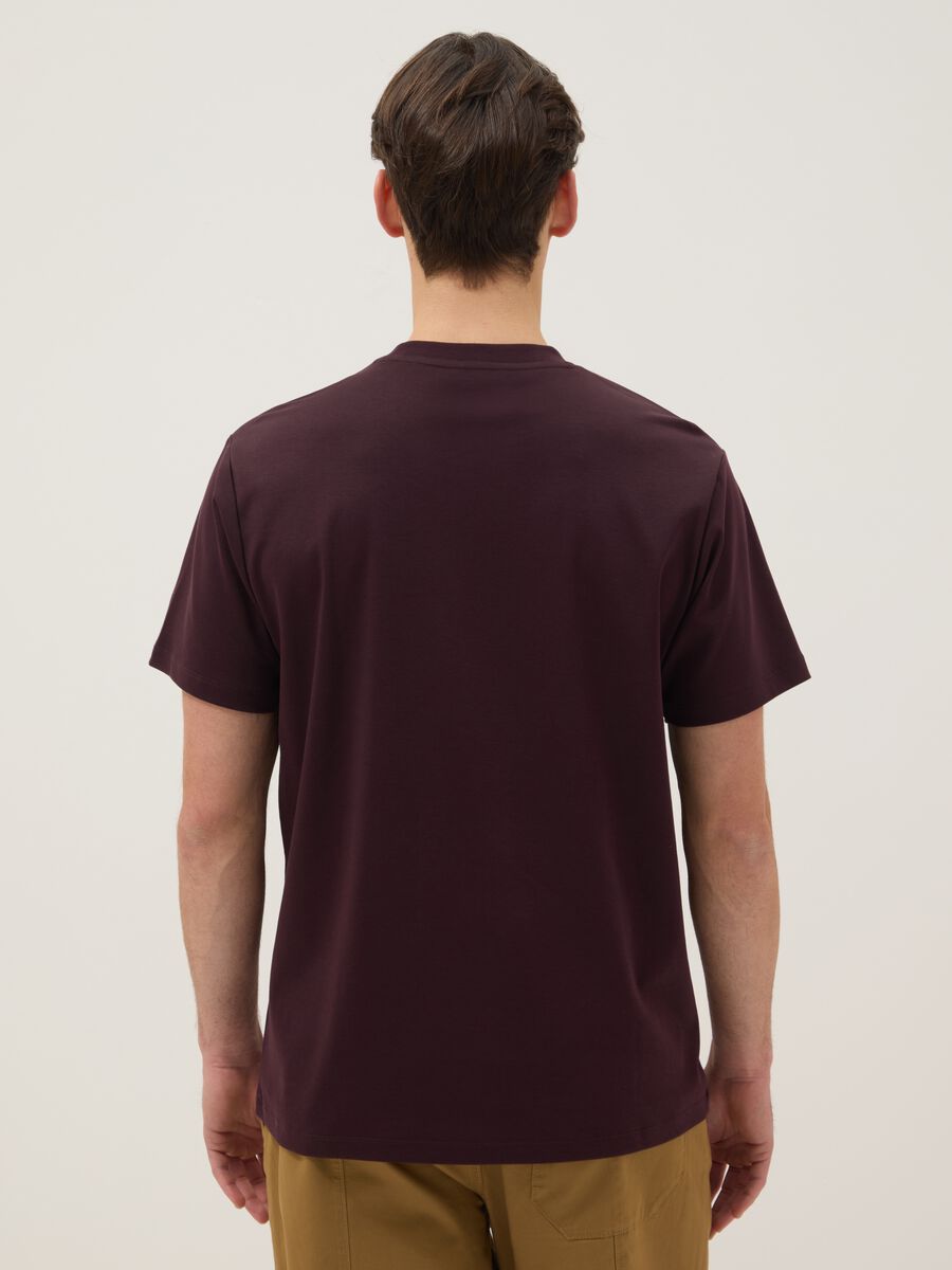 Brown pure cotton crew neck T-shirt regular fit_2
