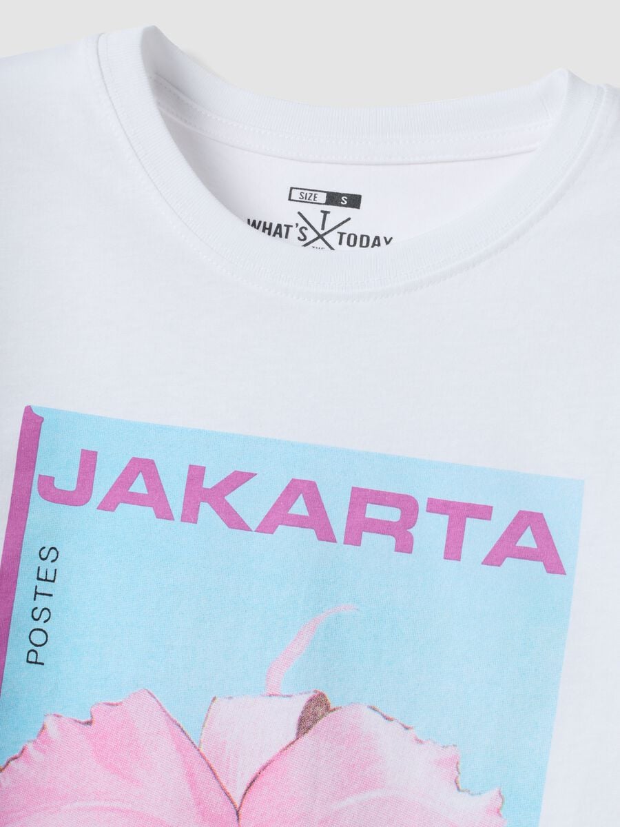 White pure cotton T-shirt with front print_5