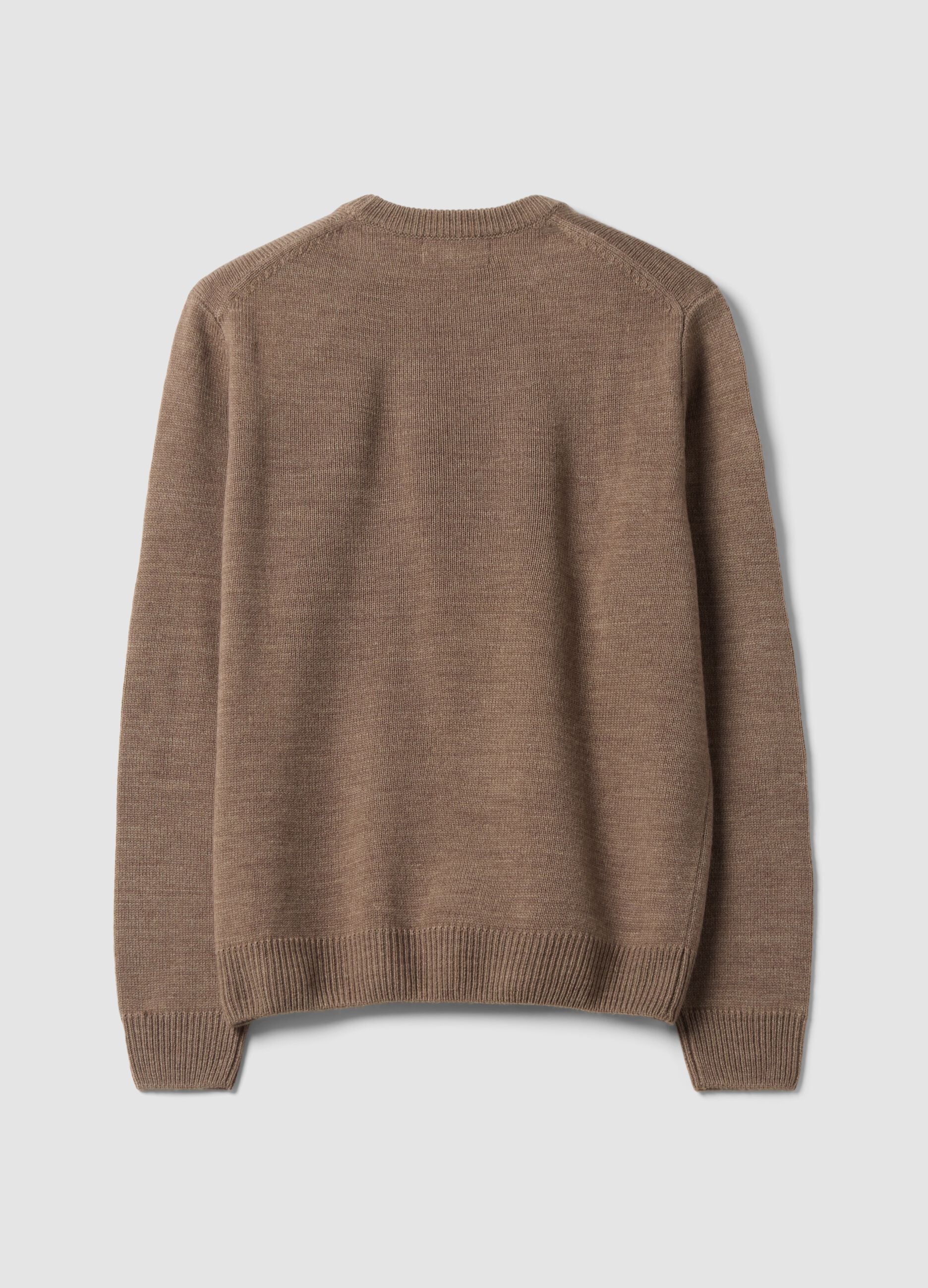 Brown crew-neck jersey knit jumper, regular fit