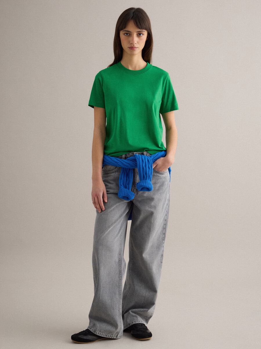 &Pi;&rho;ά&sigma;&iota;&nu;&omicron; &mu;&pi;&lambda;&omicron;&upsilon;&zeta;ά&kappa;&iota; &mu;&epsilon; &sigma;&tau;&rho;&omicron;&gamma;&gamma;&upsilon;&lambda;ή &lambda;&alpha;&iota;&mu;ό&kappa;&omicron;&psi;&eta; &sigma;&epsilon; &kappa;&alpha;&nu;&omicron;&nu;&iota;&kappa;ή &gamma;&rho;&alpha;&mu;&mu;ή &alpha;&pi;ό &kappa;&alpha;&theta;&alpha;&rho;ό &beta;&alpha;&mu;&beta;ά&kappa;&iota;_1