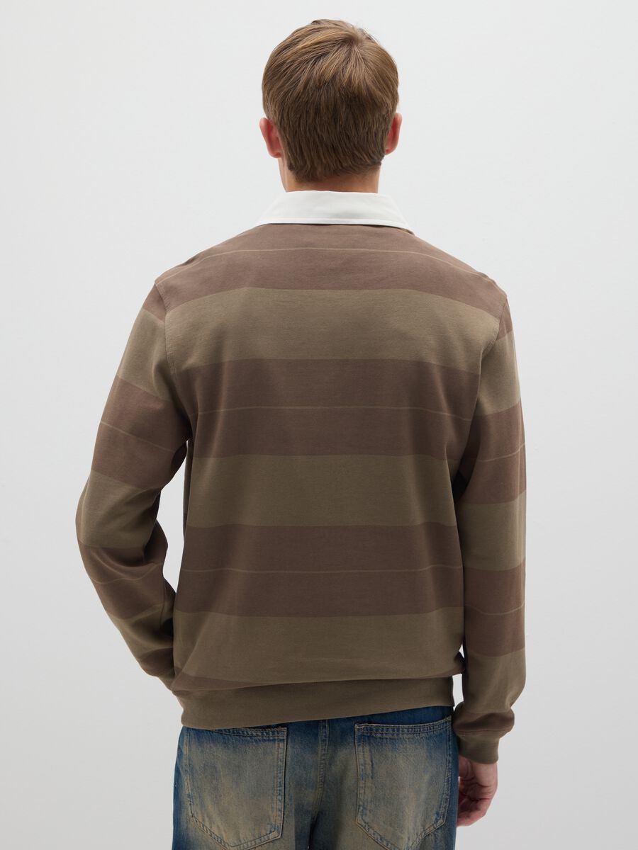 Brown pure cotton regular fit polo_2