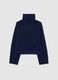 Blue Turtleneck Regular Fit Sweater_4