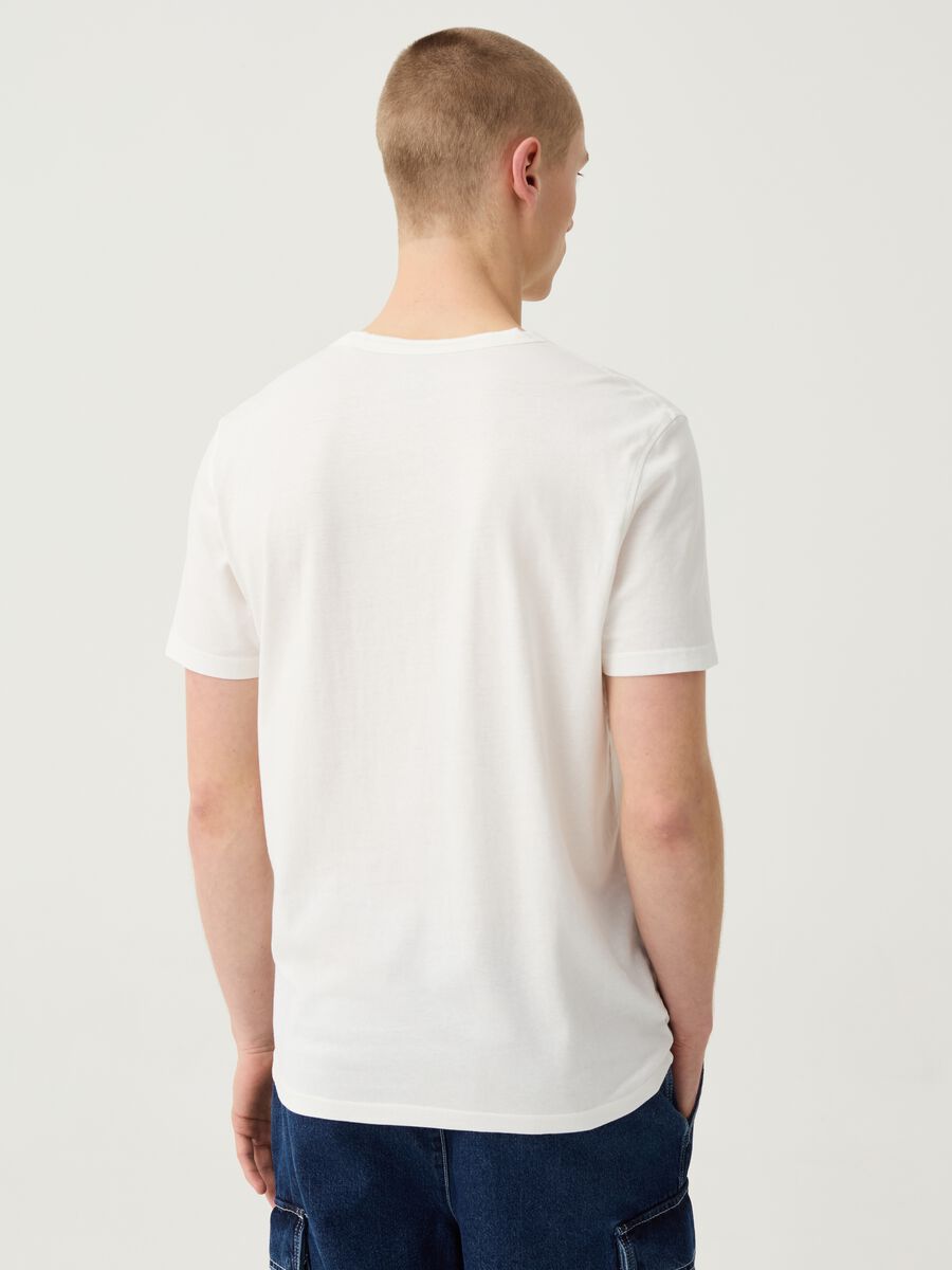 Camiseta de algodón flameado con cuello panadero_2