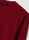Red pure wool crew-neck jumper, regular fit_1