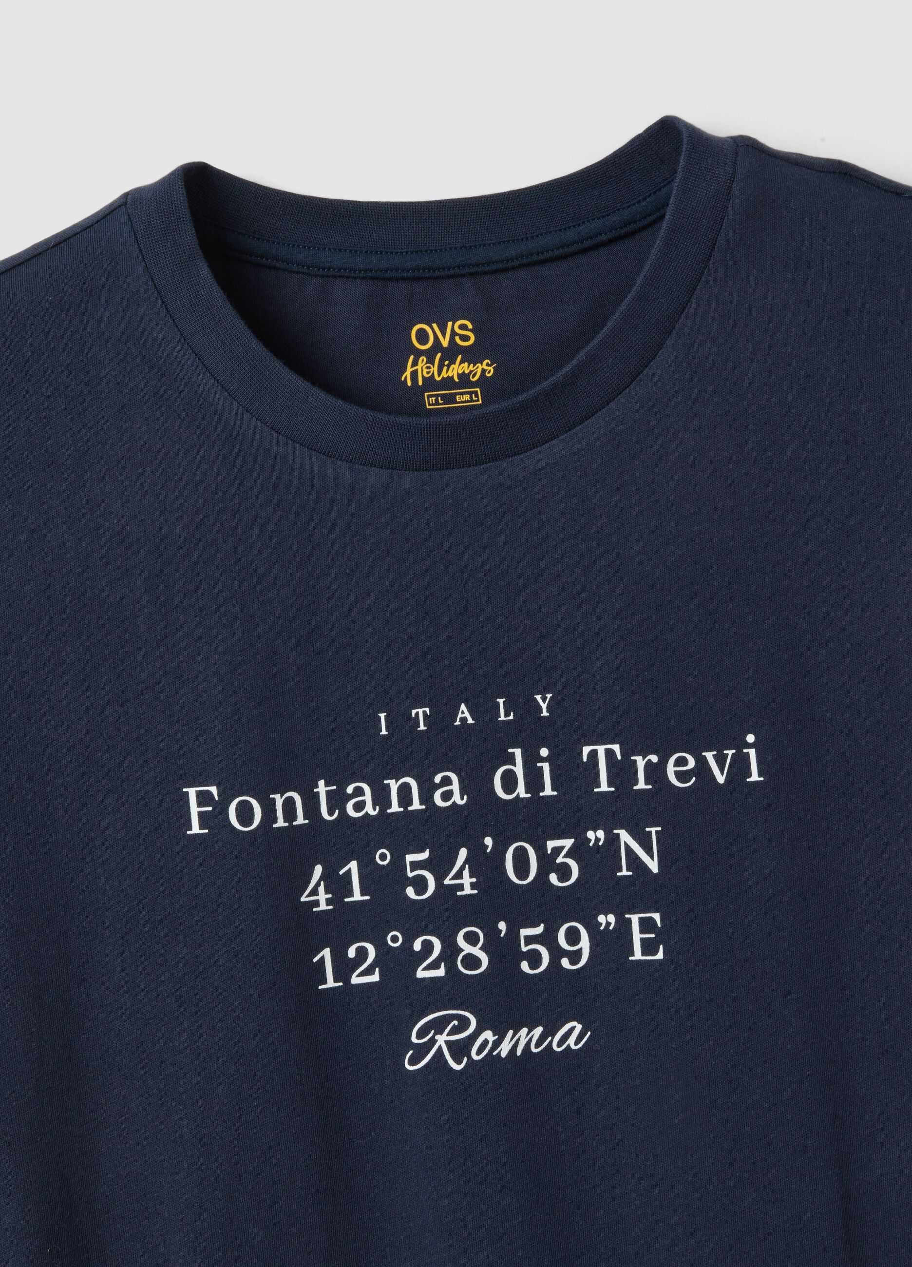 Blaues T-Shirt aus reiner Baumwolle mit Frontprint, Regular Fit