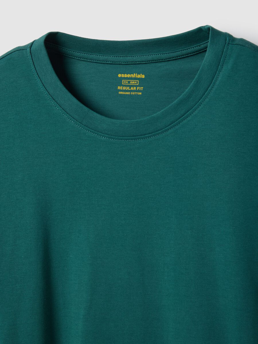 Regular fit green pure cotton T-shirt_5