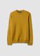 Mustard yellow regular-fit crew-neck knitted jersey jumper_0