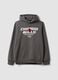 Sweat com capuz cinzenta em mistura de algod&atilde;o com estampado Chicago Bulls_0