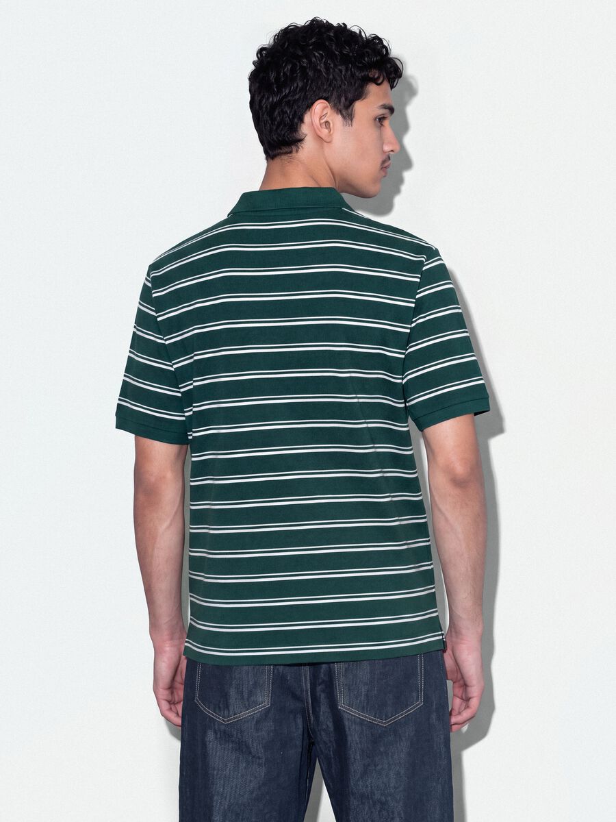 Gr&uuml;nes Poloshirt aus reiner Baumwolle mit Streifen, Regular Fit_3