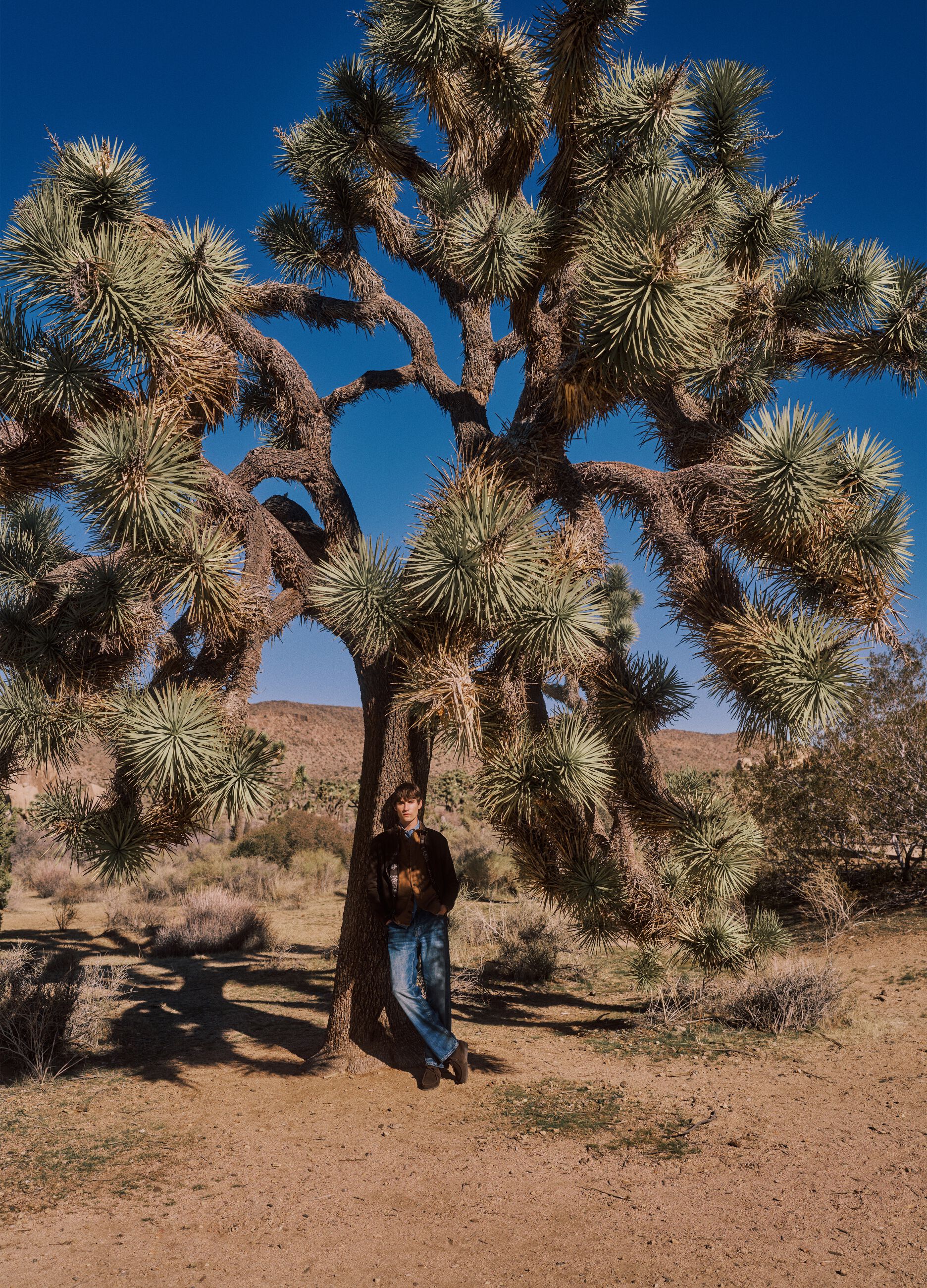 Jeans en m&eacute;lange de coton denim et de lin bleu coupe regular
