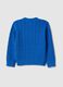 Kids' blue regular fit pure cotton pullover_4