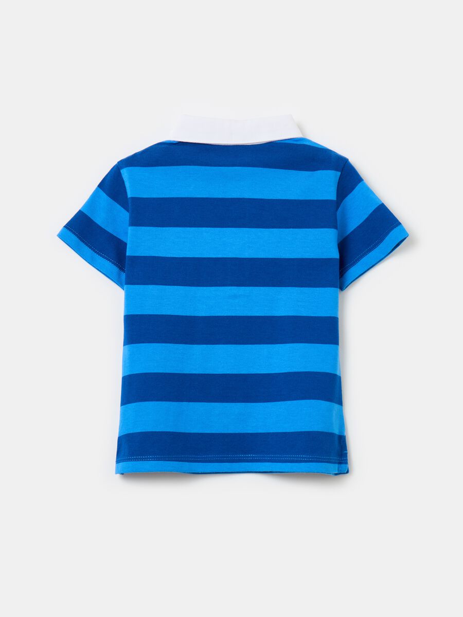 Polo shirt in cotton with stripes print_1