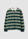 Green and yellow pure cotton striped polo shirt, regular fit_0