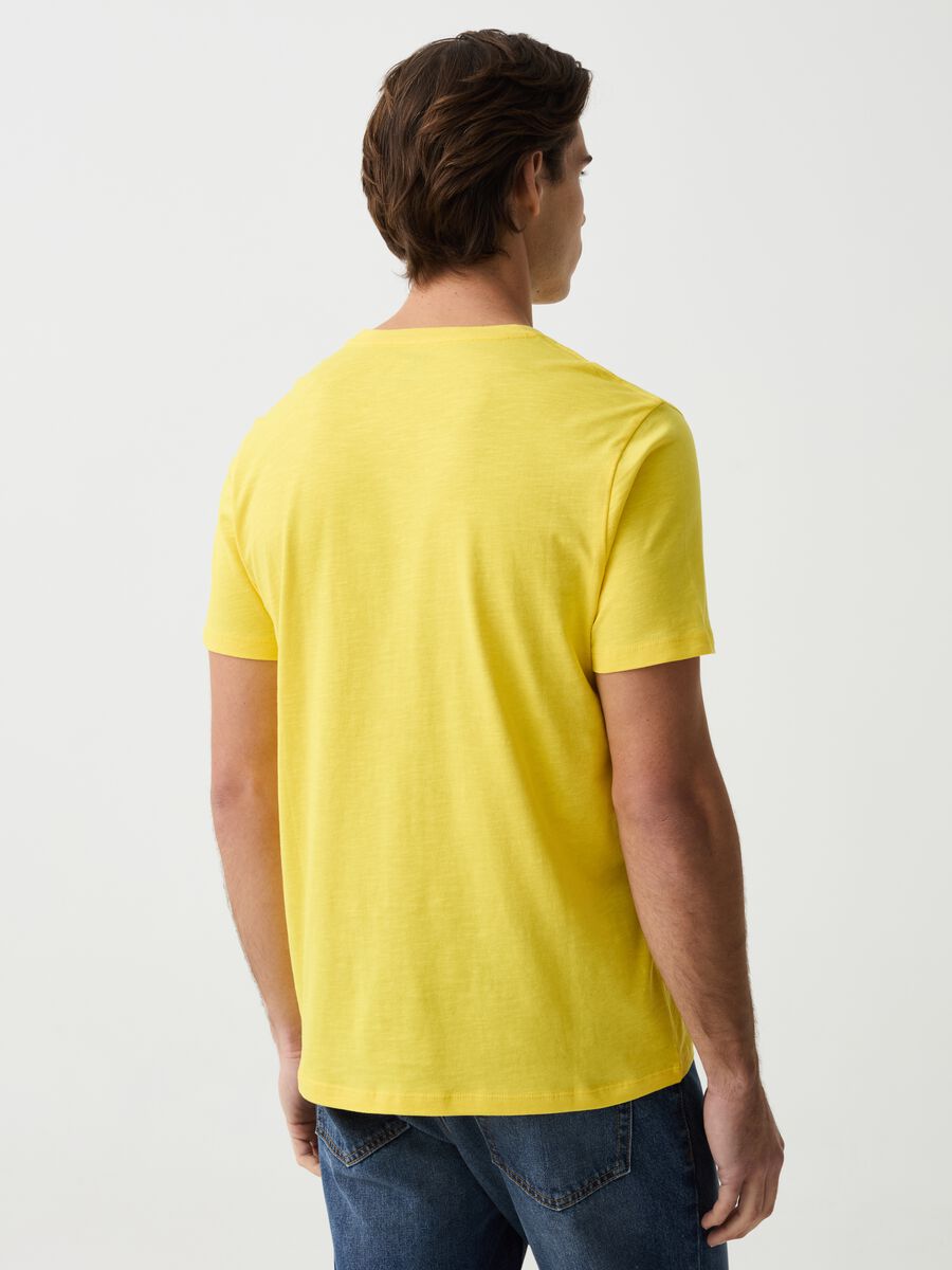 Camiseta de punto flameado de algodón orgánico_2