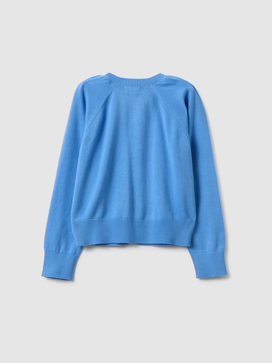 Girls' Regular Fit Blue Pure Cotton Cardigan with Cable Knit_4