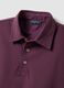 Purple slim-fit short-sleeve pure cotton polo shirt_5