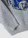 Grey stretch hoodie sweatshirt with print for boys_3