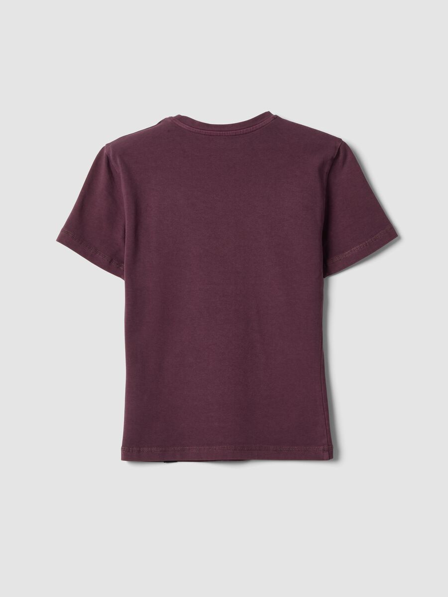 Perfect T-shirt Washed Wine_1