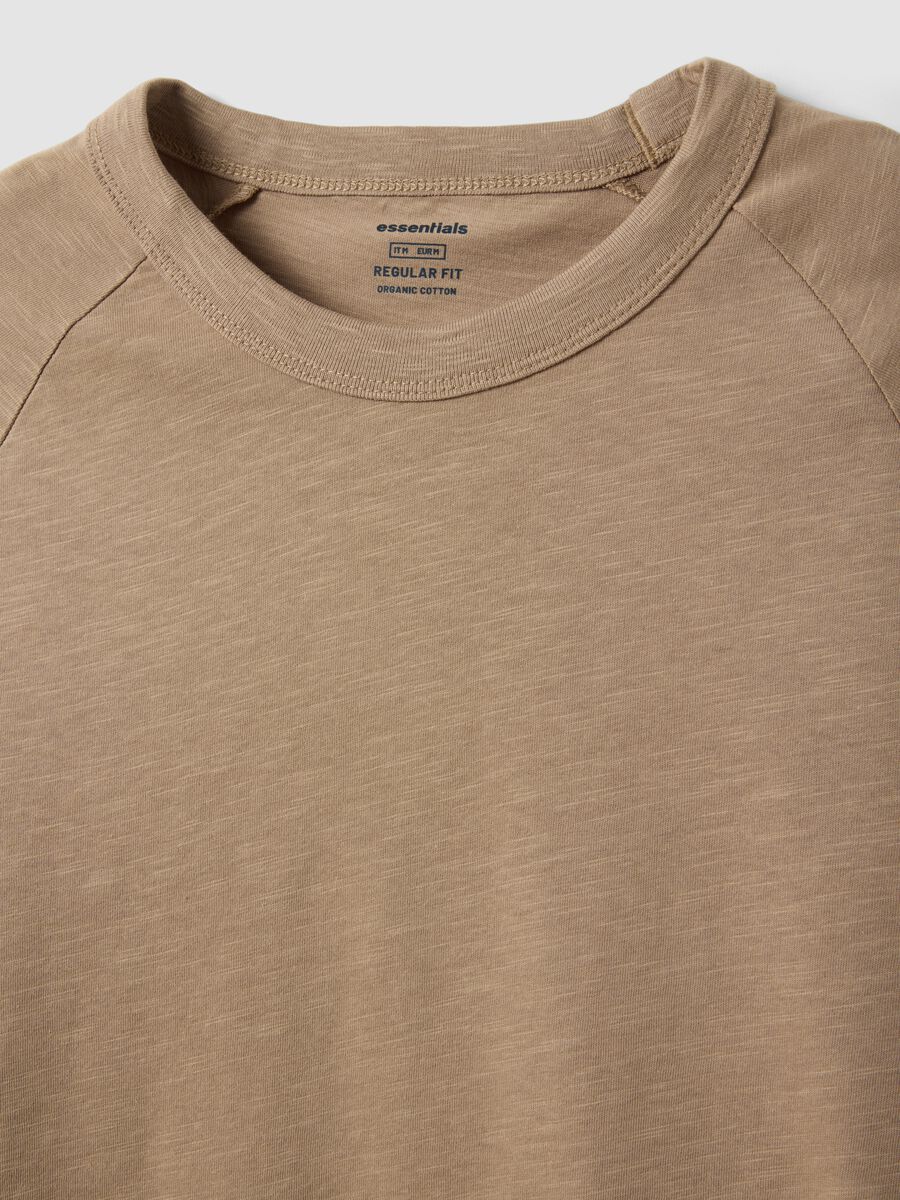 Beige pure cotton regular fit T-shirt_5