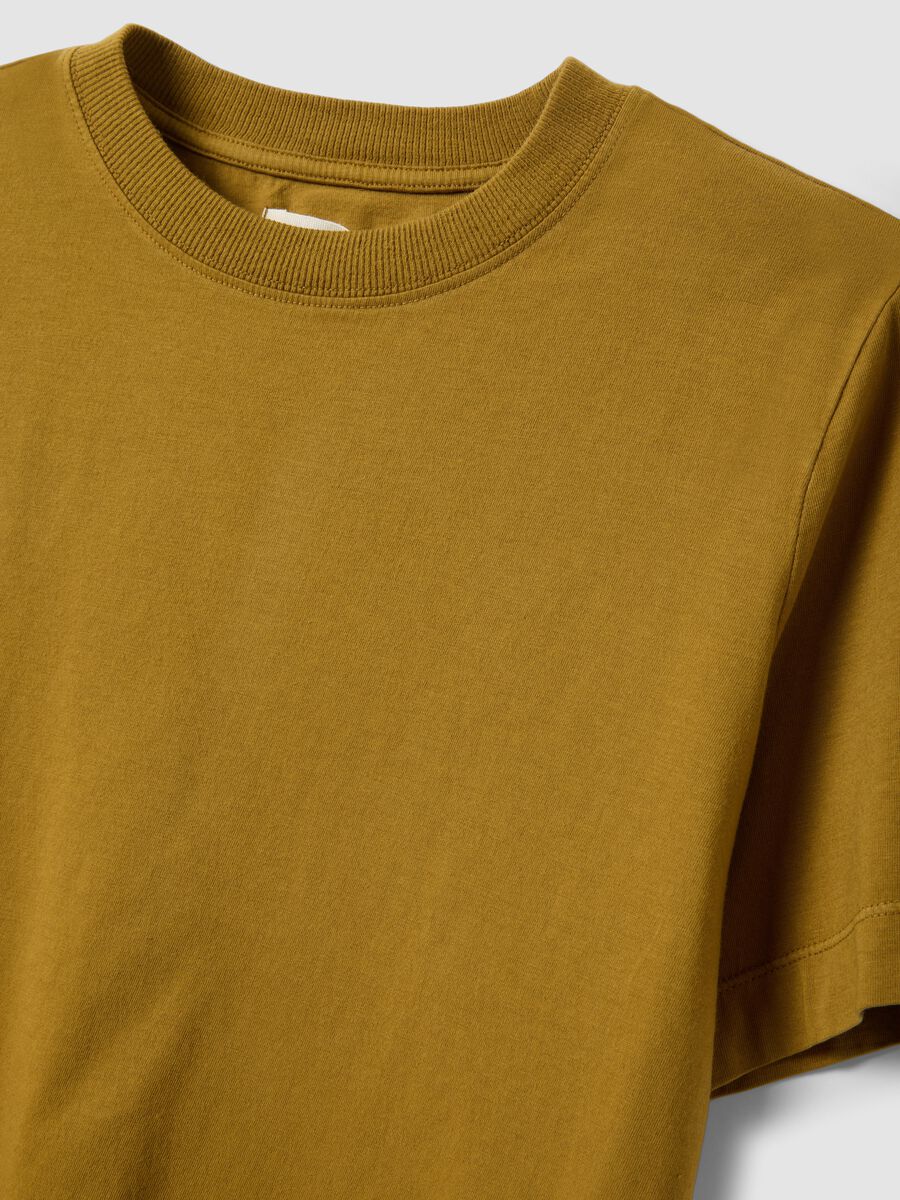 Brown short-sleeve pure cotton T-shirt, regular fit_1