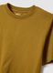 Brown short-sleeve pure cotton T-shirt, regular fit_1