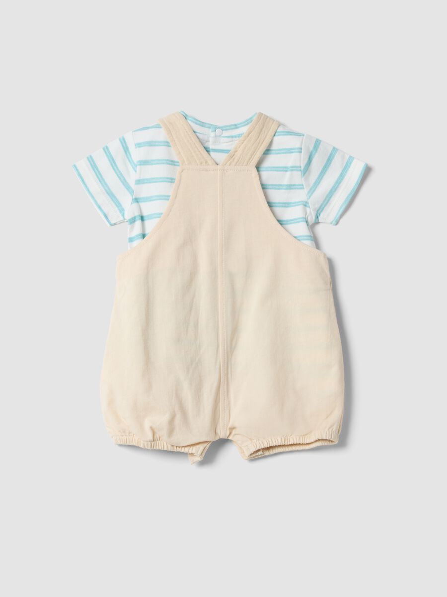 Newborn multicolour pure cotton t-shirt and overall set, relaxed fit_1