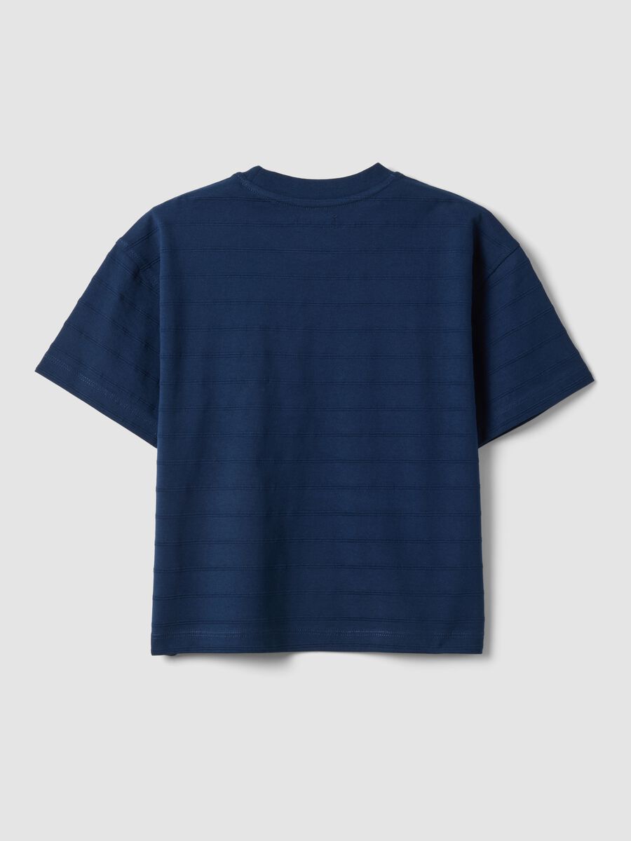 Children's Regular Fit Blue Pure Cotton T-shirt_1