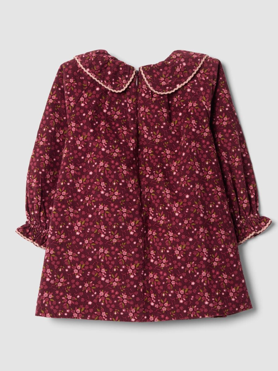 Robe col rond rouge bordeaux en pur coton &agrave; fleurs, coupe regular_1