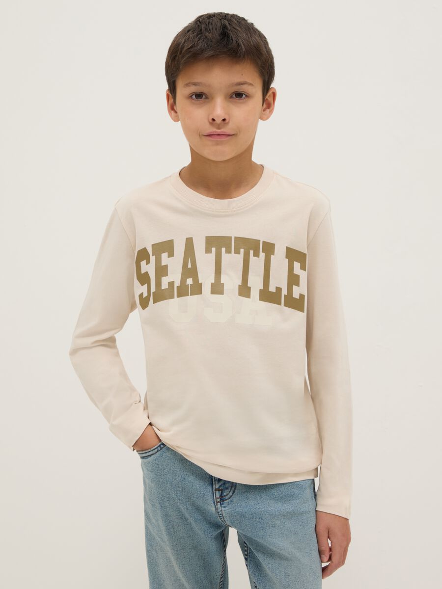 Boys' Beige Pure Cotton Regular Fit Jumper_0