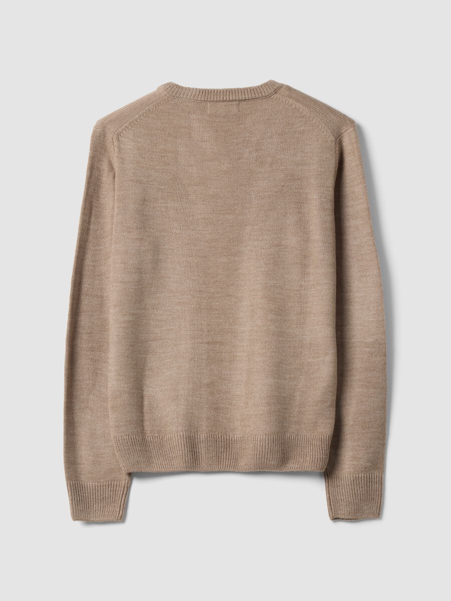 Brauner V-Ausschnitt-Pullover, Regular Fit_2