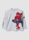 Grey long-sleeved pure cotton T-shirt with MARVEL Spider-Man print for boys_0