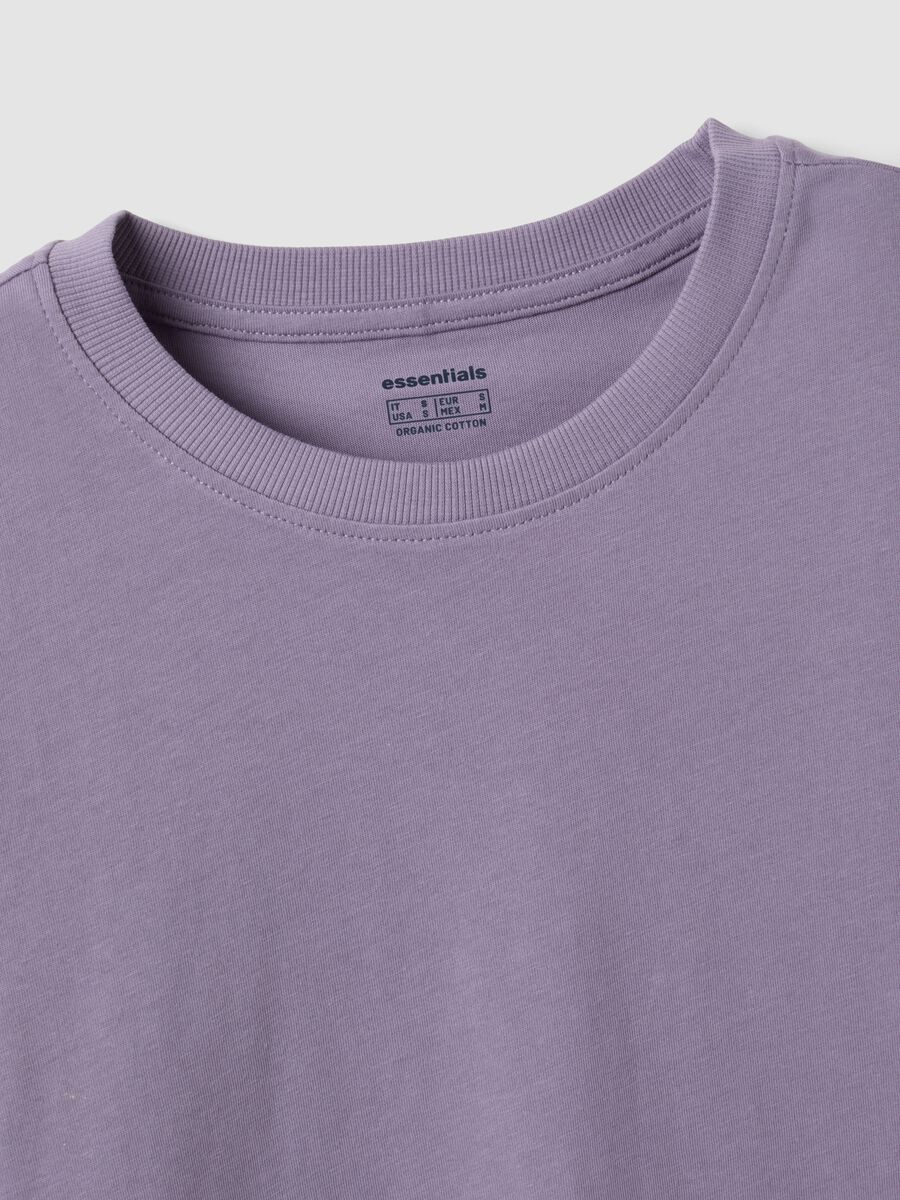 Purple crew-neck T-shirt in pure organic cotton, regular fit_1