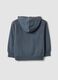 Grauer Hoodie aus reiner Baumwolle_1
