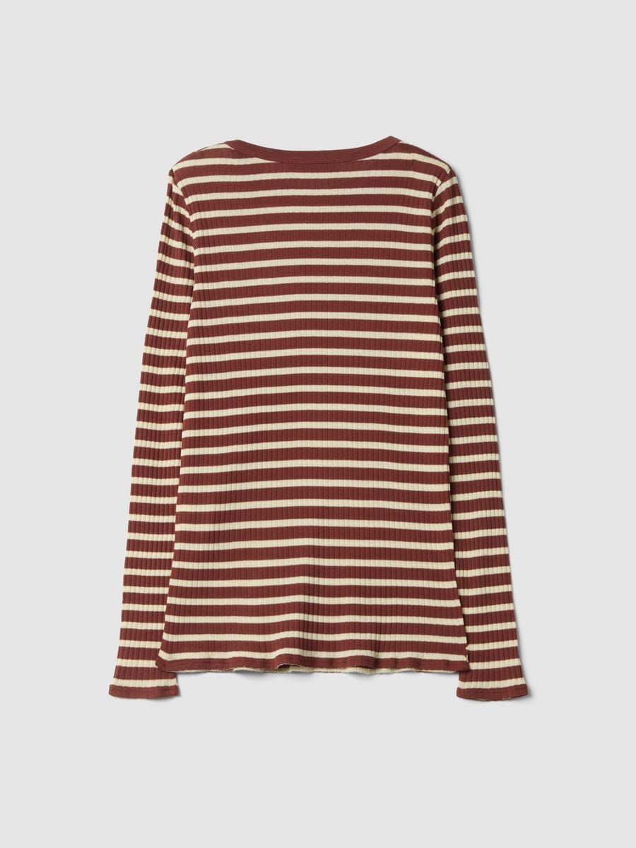 Brown striped pure cotton ribbed regular-fit T-shirt_2