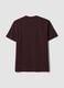 Brown organic cotton slim-fit short-sleeve T-shirt_5
