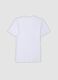 2-pack of white organic cotton T-shirts with deep V-neck_6