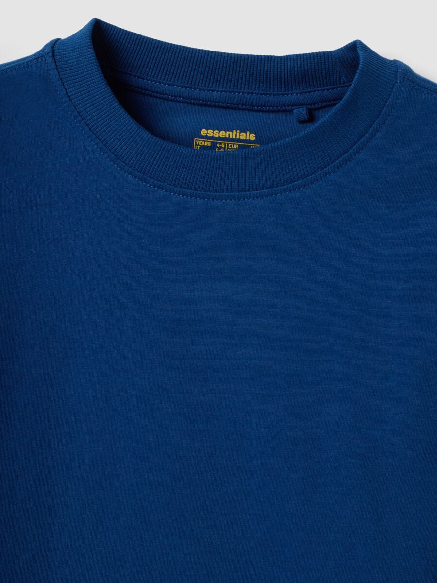 Blue organic cotton crew-neck T-shirt for boys, regular fit_2