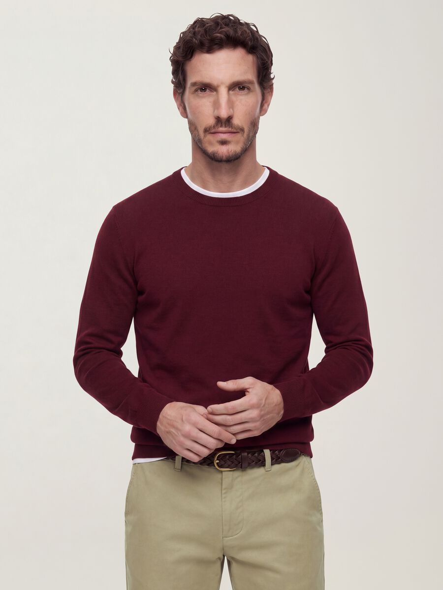 Burgundy viscose-blend crew-neck jumper, regular fit_0