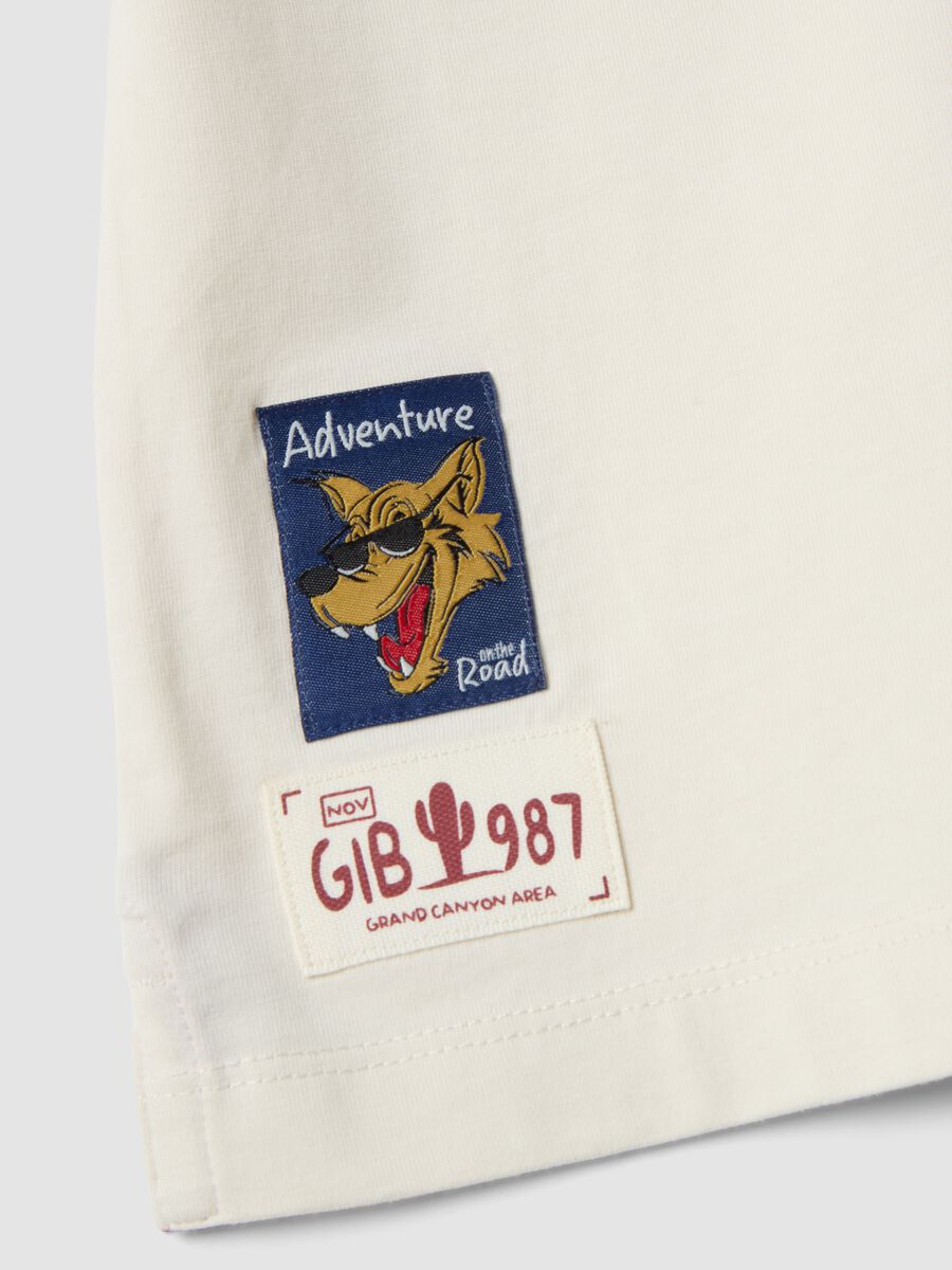 Boys' Multicolour Pure Cotton Polo Shirt &ndash; Oversized Fit_3