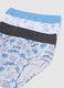 Boys' multi-colour pure cotton multipack briefs_2