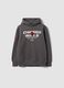 Sweatshirt com capuz cinzenta em mistura de algod&atilde;o com estampado Chicago Bulls para rapaz_0