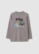 T-shirt infantil cinza regular fit de algod&atilde;o puro com estampa_0