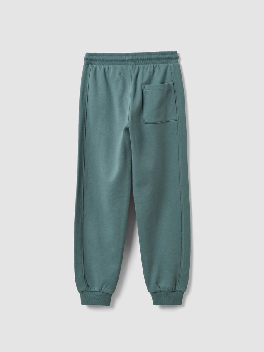 Blaue Jogger aus Bio-Baumwolle_1