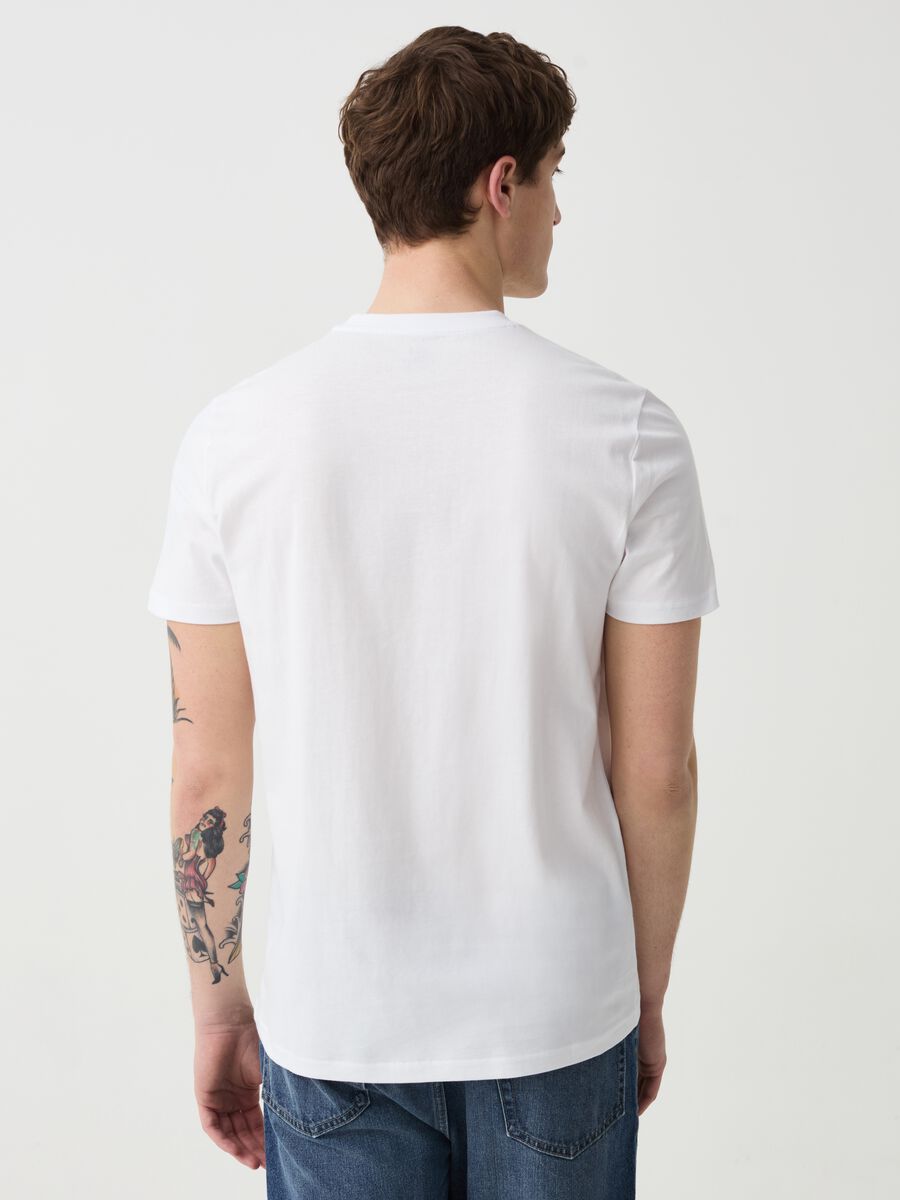 Cotton t-shirt with Capri print_2