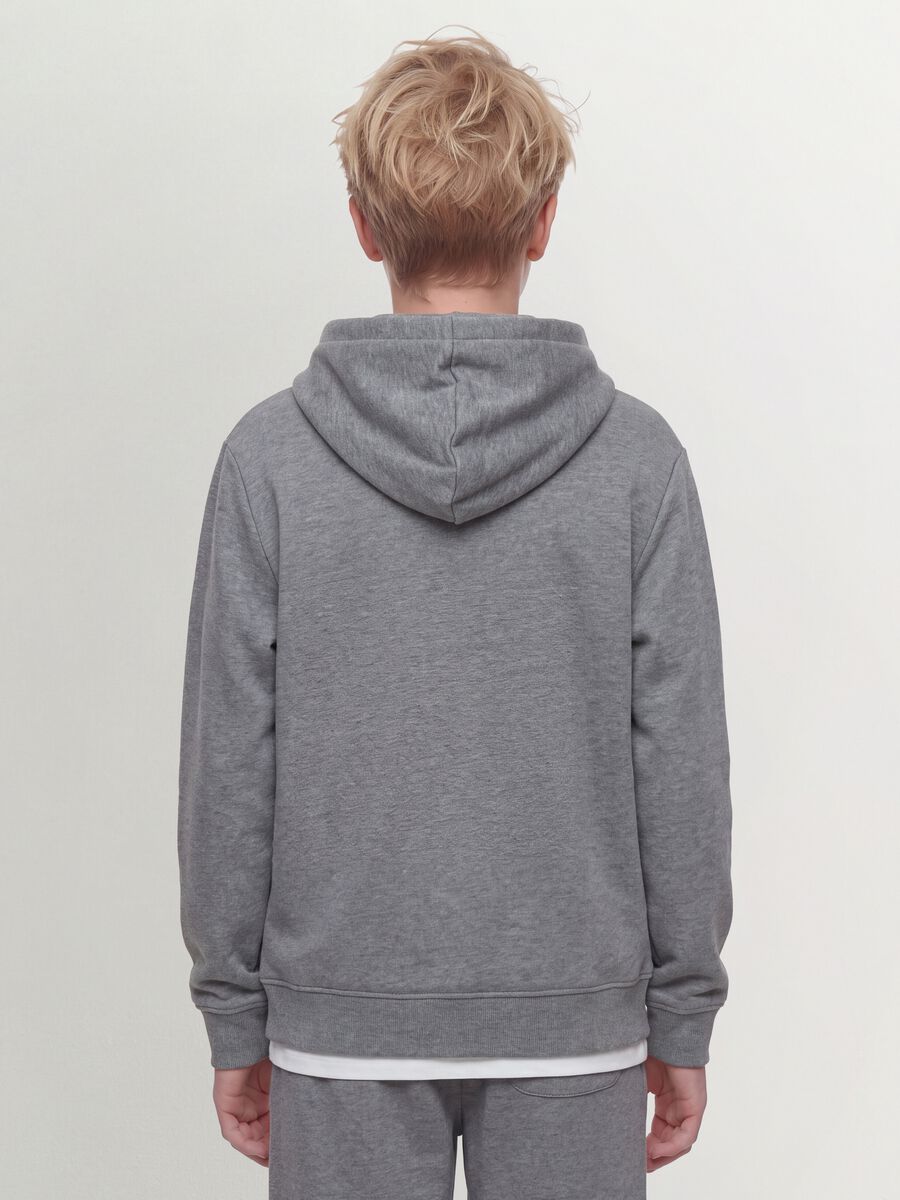 Grey hoodie in pure organic cotton, regular fit_3